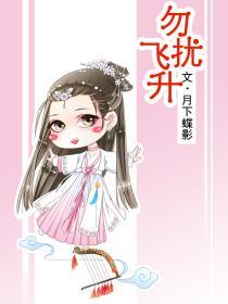 勿扰飞升