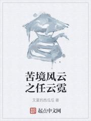 苦境风云之任云霓