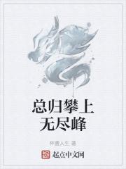 总归攀上无尽峰